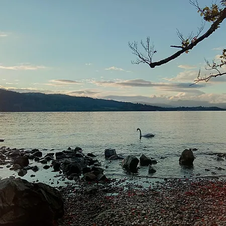 Lindisfarne In * 윈더미어